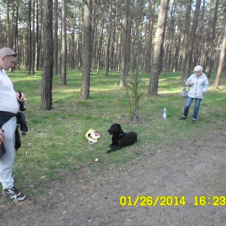 Przytulny I Dla Kazdego * Bydgoszcz